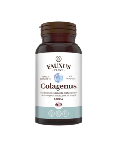 Colagen tip 2 pentru articulatii, oase, piele si par Colagenus, 60 capsule, Faunus Plant