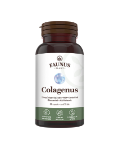 Colagenus Capsule, Colagen concentrat tip II, acid hialuronic și plante medicinale, 60 capsule, Faunus Plant
