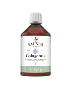 Colagenus, colagen lichid hidrolizat cu extracte din plante, 500ml, Faunus Plant
