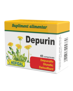 HOFIGAL Depurin, 40 comprimate