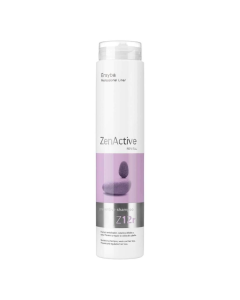Sampon impotriva caderii parului Zen Active Z12r 250ml, Erayba