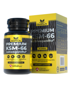 Ashwagandha KSM-66 Premium, 60 capsule vegane, Boost4Life