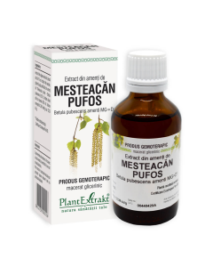 Extract din amenţi de MESTEACAN PUFOS, 50 ml