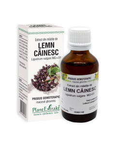 PLE Extract din Mladite lemn cainesc, detoxifiere, 50 ml
