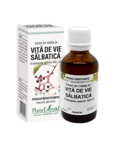 Extract din mladite de VITA DE VIE SALBATICA, 50 ml