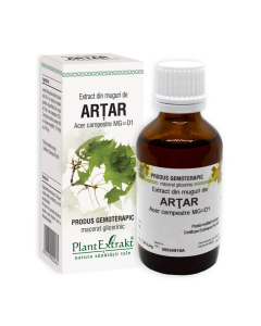 PLE Extract din Muguri de artar, adjuvant sistem biliar, 50 ml