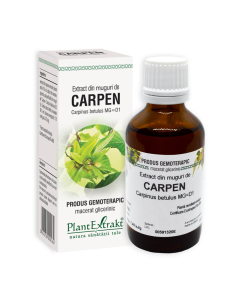 PLE Extract Muguri carpen, probleme respiratorii, 50 ml