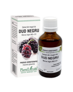 Extract din muguri de DUD NEGRU, 50 ml