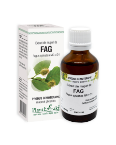 Extract din muguri de Fag, 50 ml, Plant Extrakt