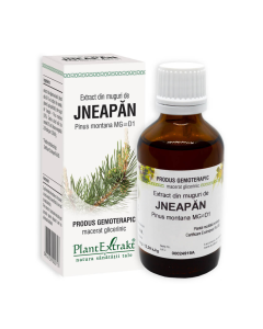 Plant Extrakt Muguri de jneapan, 50 ml