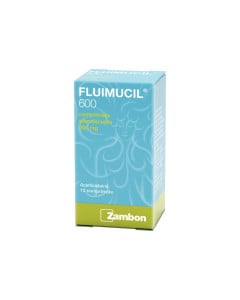 Fluimucil, 600 mg, 10 comprimate efervescente, Dr. Reddy's