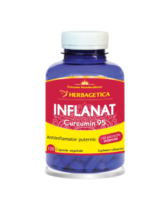 Inflanat Curcumin 95, 120 capsule, Herbagetica