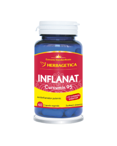HERBAGETICA Inflanat + Curcumin 95, 60 capsule