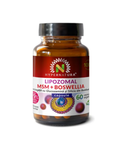 Lipozomal MSM + Boswellia, 60 capsule, Hypernatura