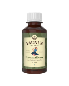 Lotiune Reumaticus, 200 ml, Faunus Plant