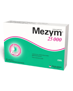 Mezym 25000, 20 capsule, Berlin-Chemie
