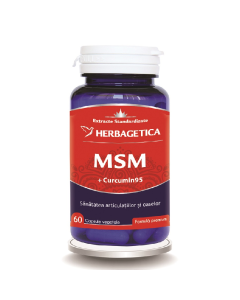MSM + Curcumin95, 60 capsule, Herbagetica