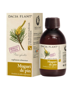 Dacia Plant Muguri de pin sirop, 200 ml
