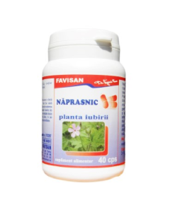 Naprasnic, 40 capsule, Favisan