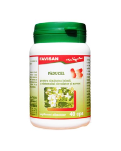 Paducel, 40 capsule, Favisan
