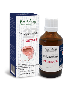 Polygemma 27 Prostata, 50 ml, Plant Extrakt