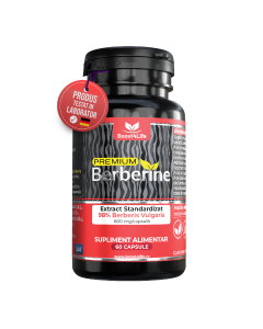 Berberine Premium 600mg, 60 capsule, Boost4Life