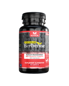 Berberine Premium 600mg, 60 capsule, Boost4Life