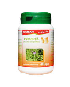 Pufulita, 40 capsule, Favisan
