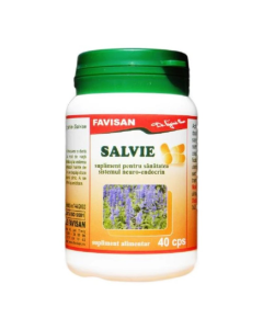 Salvie, 40 capsule, Favisan