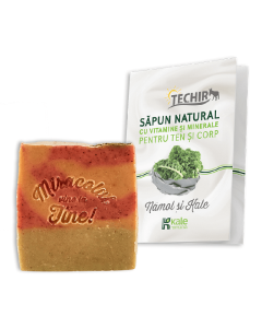 Sapun natural bogat in vitamine si minerale pentru ten si corp cu namol si kale, 120 g, Techir