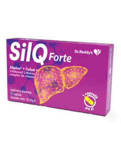 SilQ Forte 80mg/85mg, 15 capsule