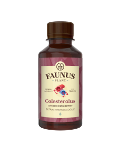 Tinctura Colesterolus pentru metabolismul colesterolului si al lipidelor, 200 ml, Faunus Plant 