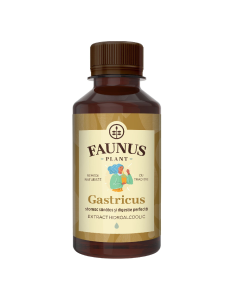Tinctura Gastricus pentru digestie si confort gastric, 200 ml, Faunus Plant 