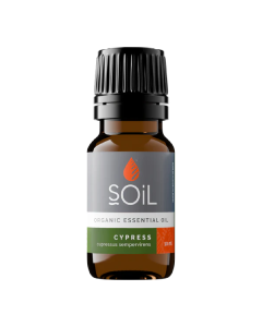 Ulei esential de Chiparos, 10ml, SOiL