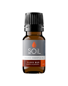 Ulei esential Cuisoare, 10ml, SOiL