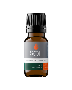 Ulei esential de Pin, 10ml, SOiL