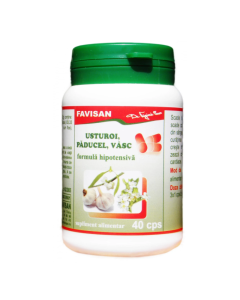 Usturoi paducel vasc, 40 capsule, Favisan