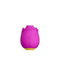 Vibrator Rose, 1 bucata, Romp