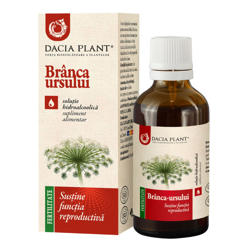 Tinctura Branca Ursului, 50ml, Dacia Plant