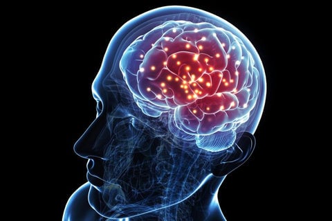 dvr_stem_neuro_dvr_pharm_large.jpg?v=155
