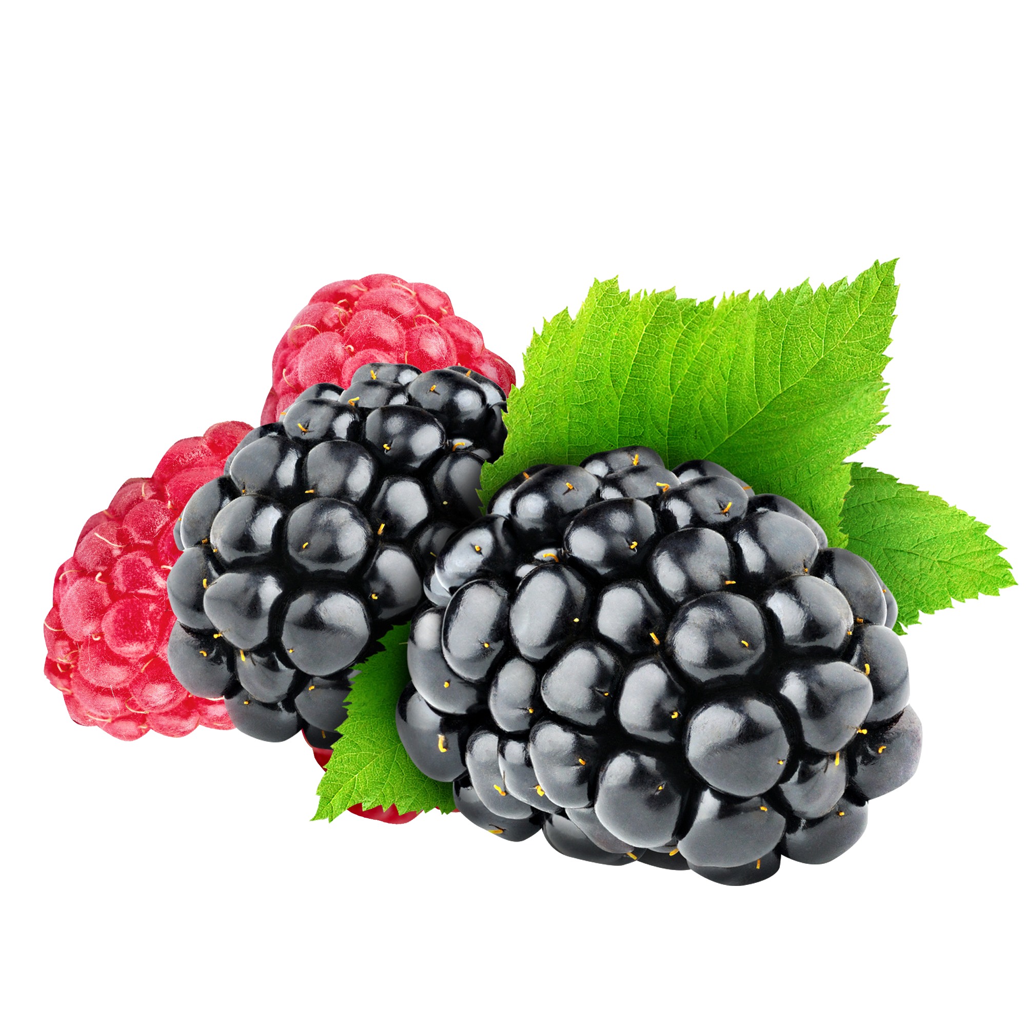 fructe-de-padure-dulceata.png