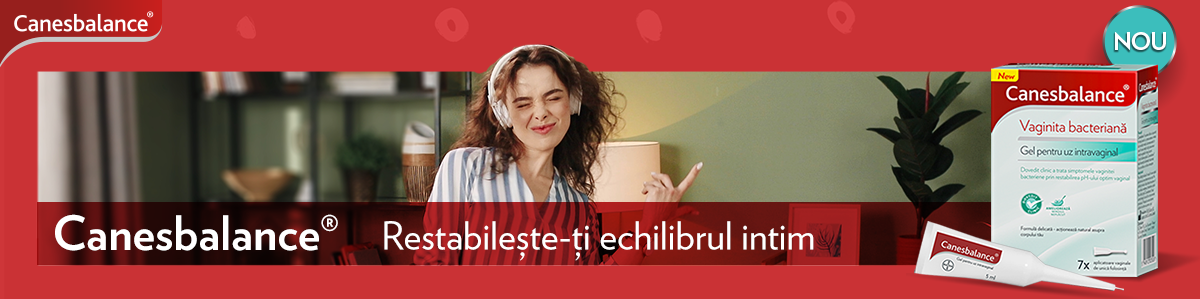 header.png