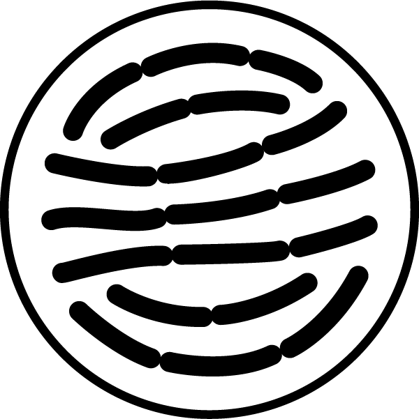 l-reuteri.png?v=950890391057801612
