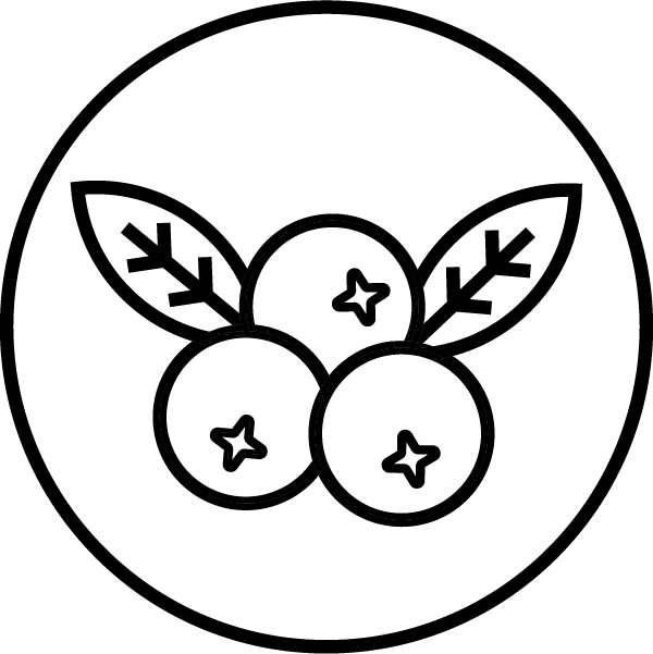 merisor_5c80a2b0-4e8e-49f6-9879-d4354f51