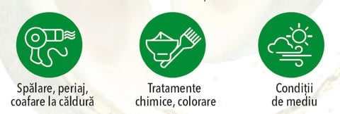Sampon Omega Plus - ECOcertificat