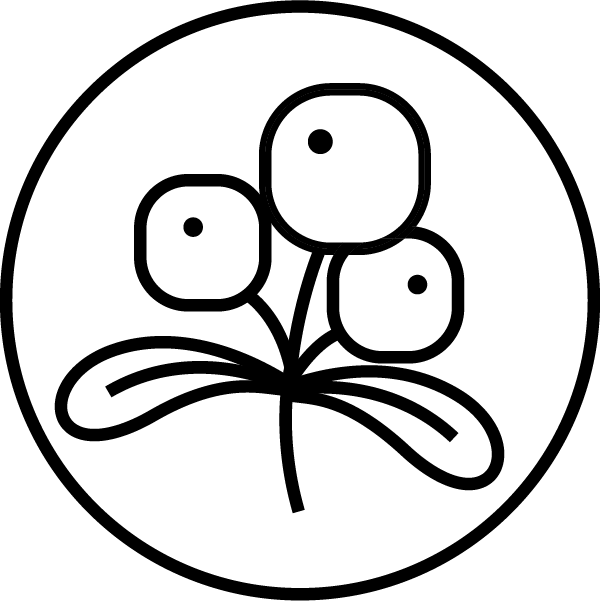 struguri-ursului.png?v=16735168305780741
