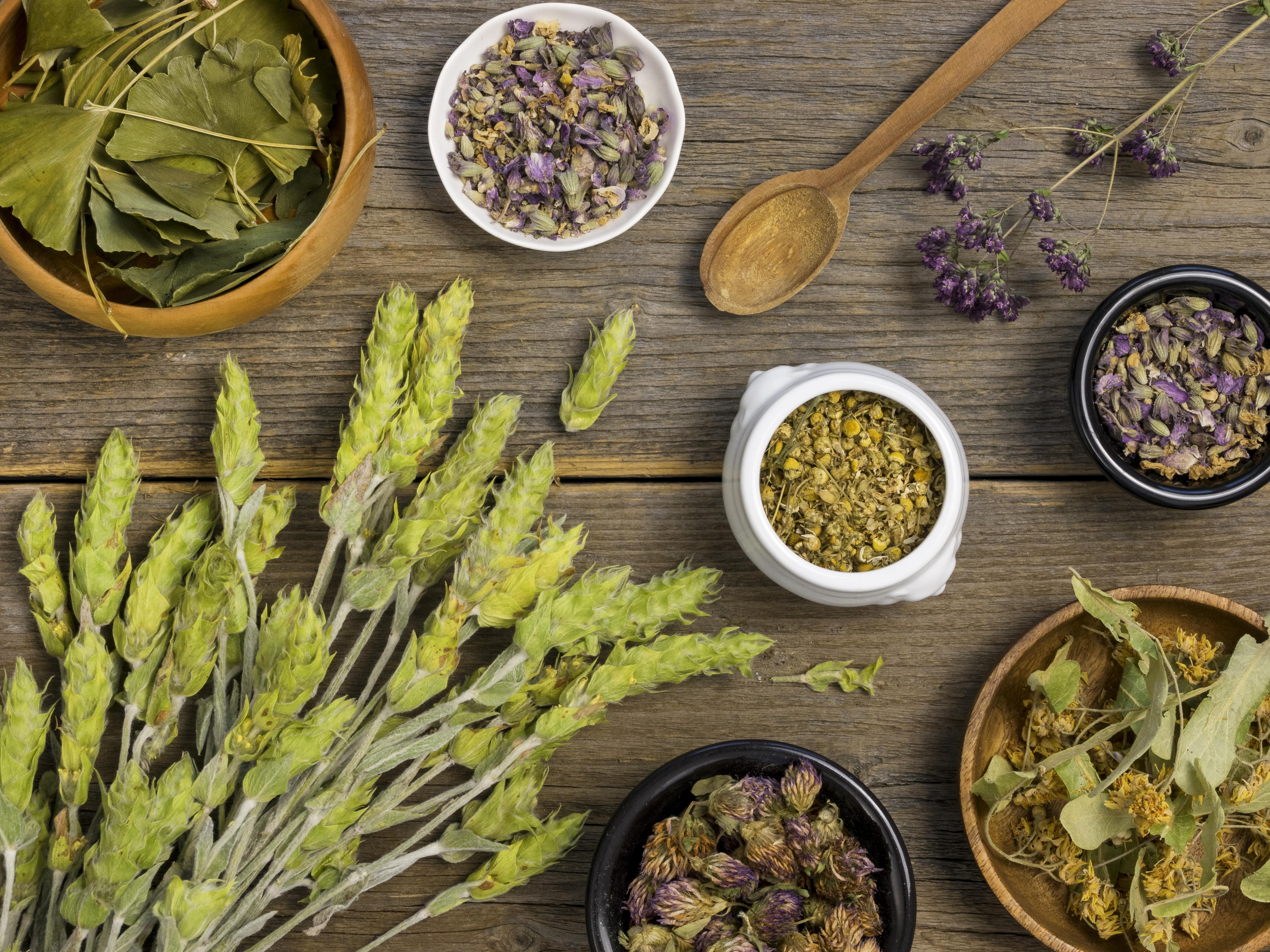 Plante medicinale de camp: remedii naturale la indemana