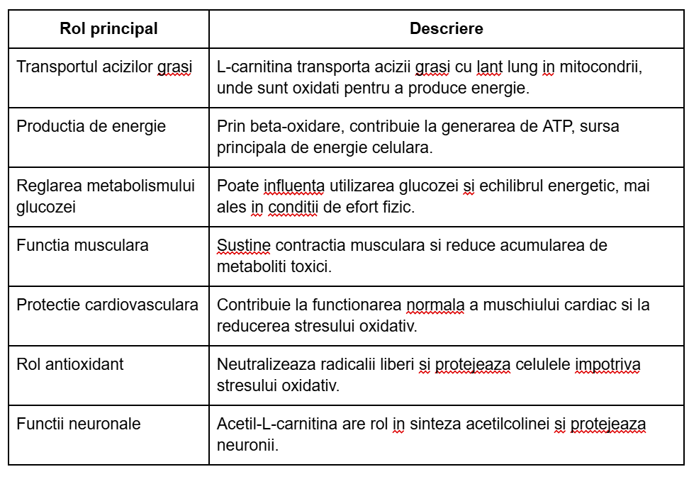 l carnitina beneficii L-carnitina: rol, beneficii si deficit
