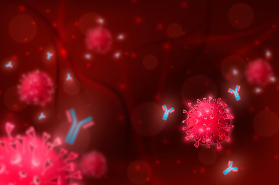 virus NIPAH in actiune