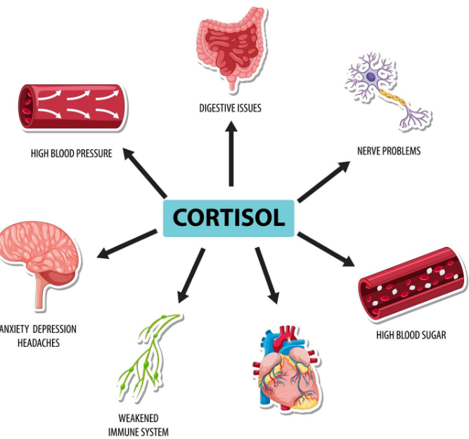 Afectiuni asociate cu cortizolul